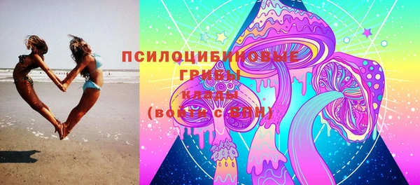 меф Богородицк