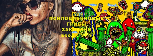 меф Богородицк